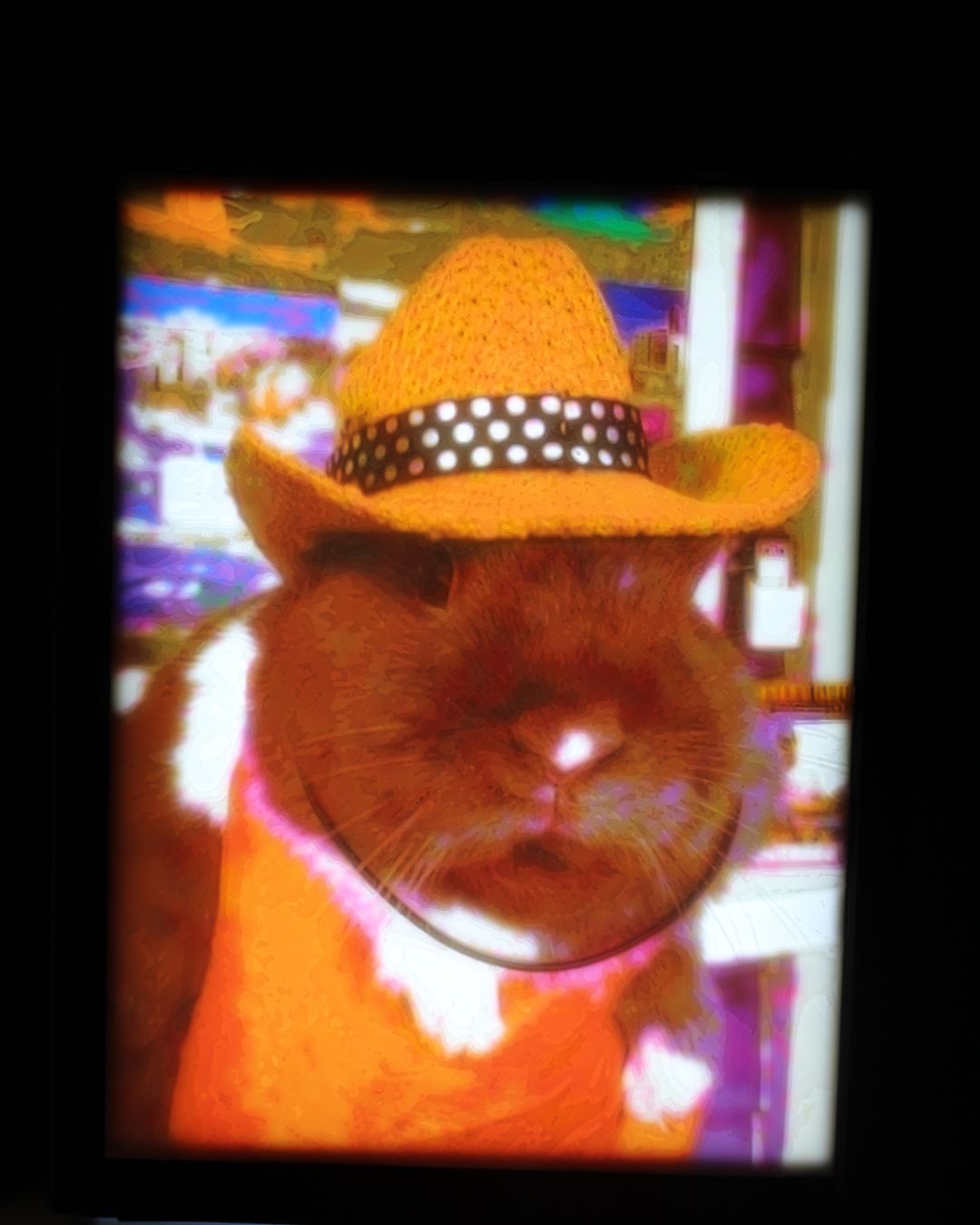 Illuminated CMYK Lithophane Display – LED Backlit Frame