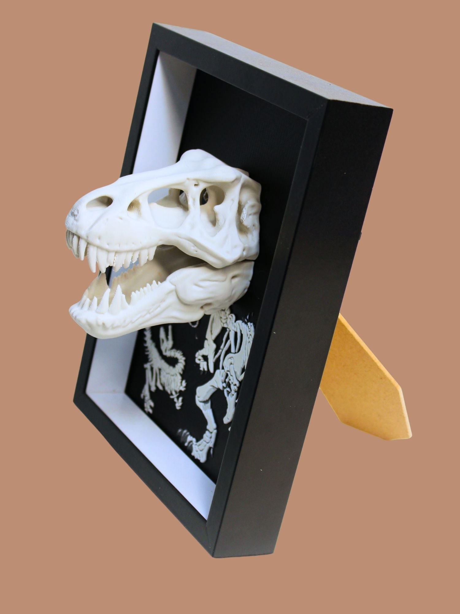 T-Rex Fossil Display | DepthForge –  Beyond the Frame | Dinosaur Inspired