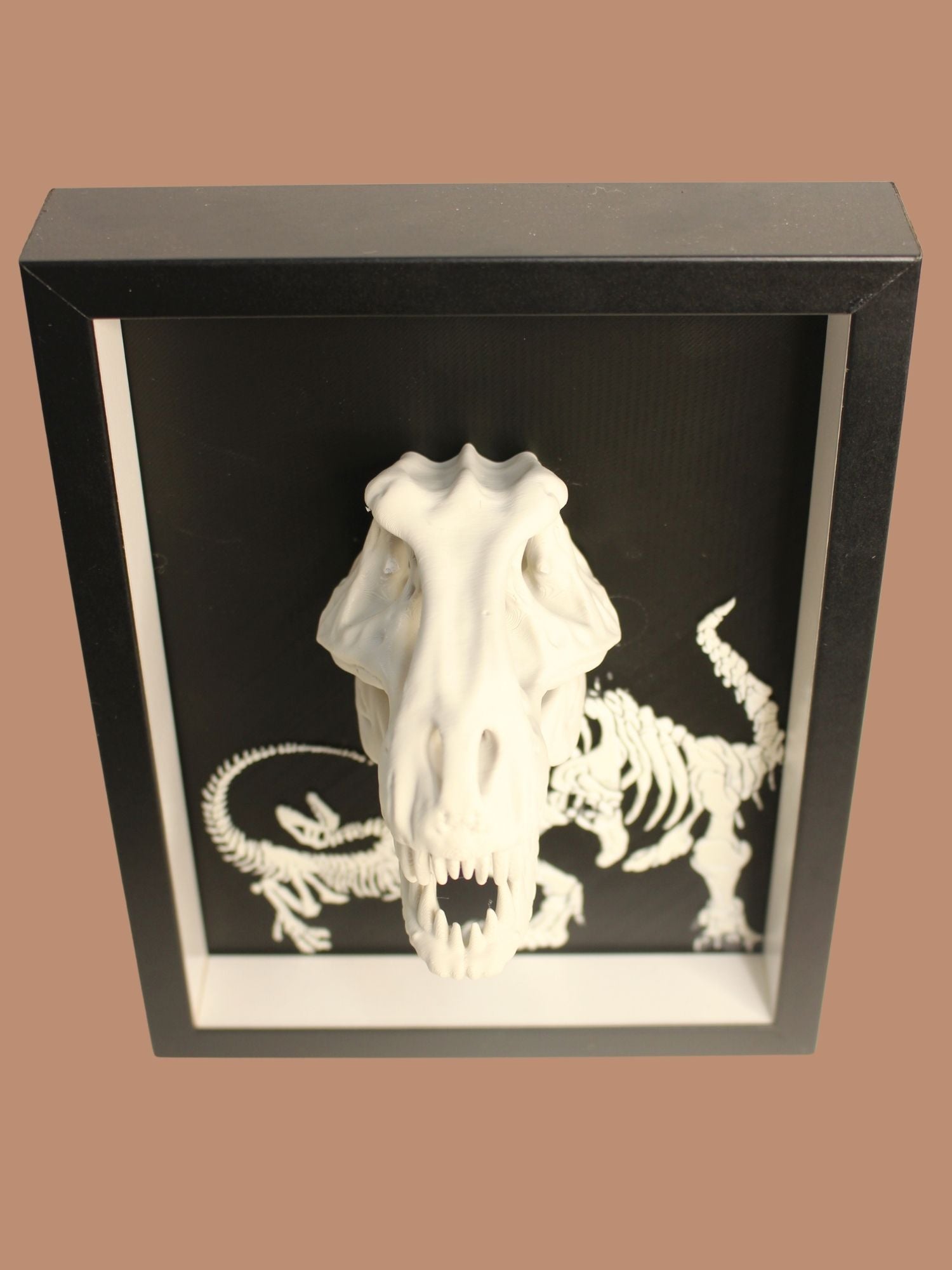 T-Rex Fossil Display | DepthForge –  Beyond the Frame | Dinosaur Inspired