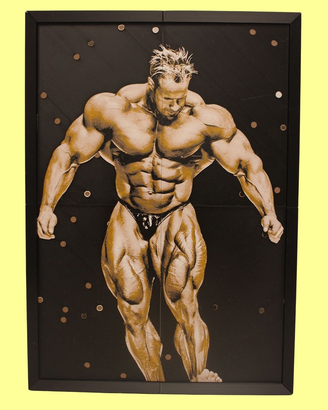 Jay Cutler 2009 Mr. Olympia MultiForge | Bodybuilding Wall Art